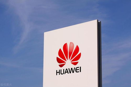 華為為何請(qǐng)劉德華代言 任正非乃取名的高手,皆傳統(tǒng)文化教育思想