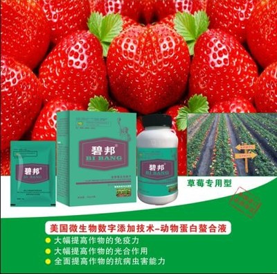 山東莘縣進口葉面肥和沖施肥經銷商 光合作用在農業(yè)增產中的關鍵作用