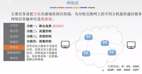 計算機網(wǎng)絡(luò)體系結(jié)構(gòu) 技術(shù)開發(fā)與服務(wù)的基石