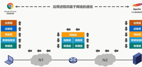 計算機網(wǎng)絡(luò) 從體系結(jié)構(gòu)到技術(shù)開發(fā)與服務(wù)
